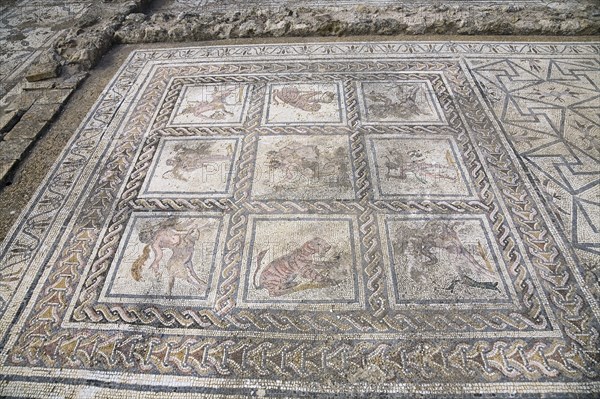 A mosaic in House 3, Italica, Spain, 2007. Artist: Samuel Magal