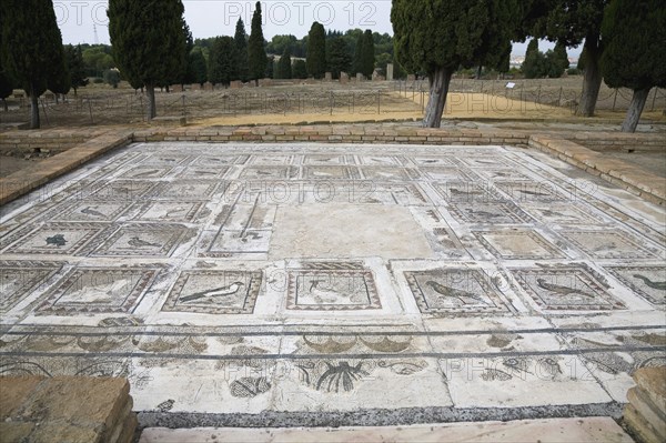 A mosaic in House 4, Italica, Spain, 2007. Artist: Samuel Magal