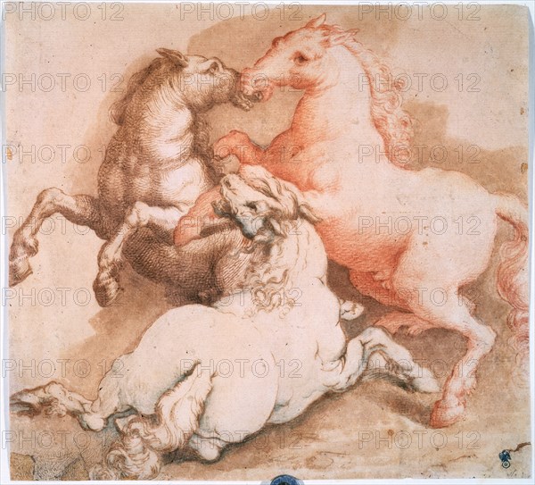 'Fighting Horses', c1550-1600. Creator: Unknown Old Master.