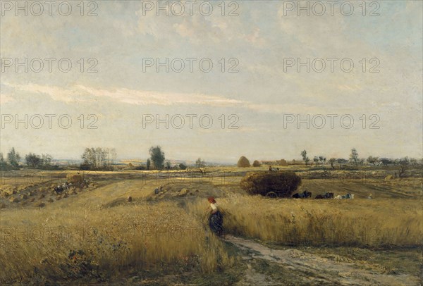 The Harvest, 1851. Artist: Daubigny, Charles-François (1817-1878)