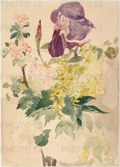 Flower Piece with Iris, Laburnum, and Geranium, 1880. Artist: Manet, Édouard (1832-1883)