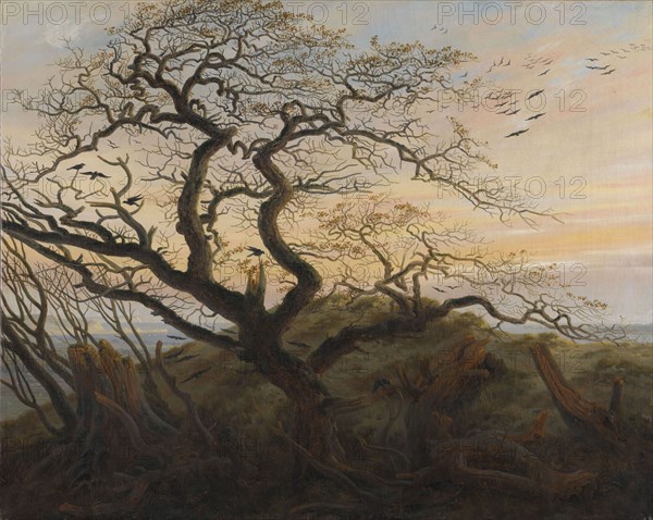 The Tree of Crows. Artist: Friedrich, Caspar David (1774-1840)