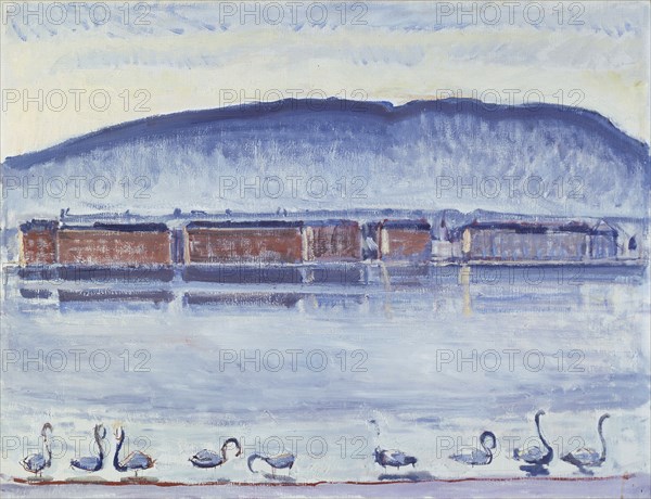 Lake Geneva with Mont Salève and Swans. Artist: Hodler, Ferdinand (1853-1918)