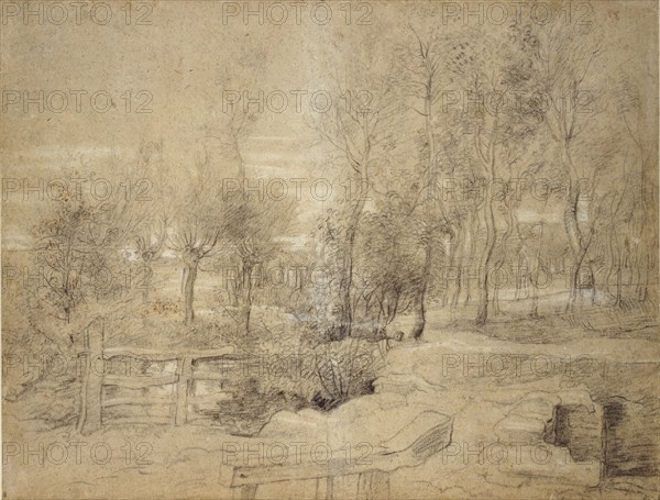 Woodland Scene, early 17th century. Artist: Peter Paul Rubens.