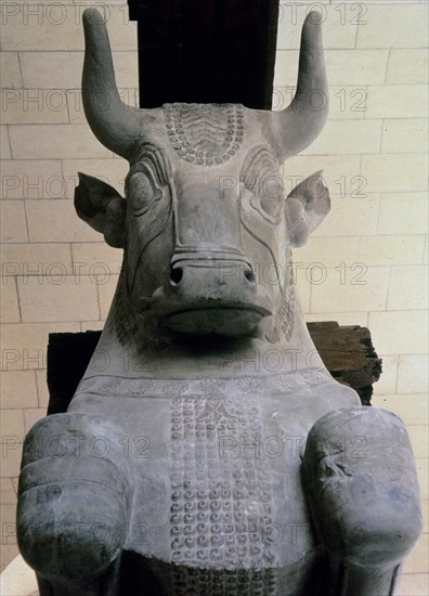 Capital in limestone of the Apadana (audience hall), from the Palace of Darius I at Susa (Elam), ?