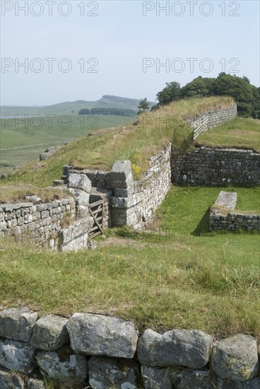 Hadrian's Wall, 2006. Creator: Ethel Davies.