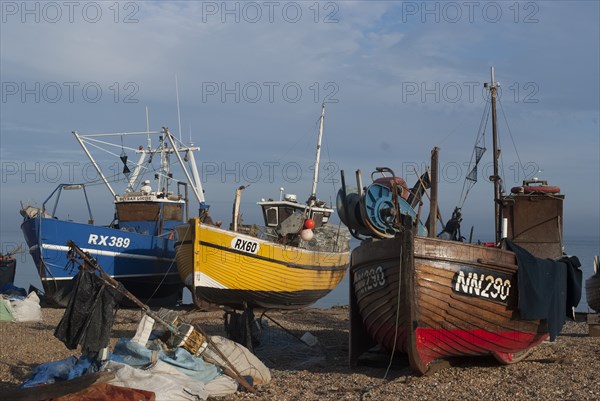 Hastings, 2009. Creator: Ethel Davies.