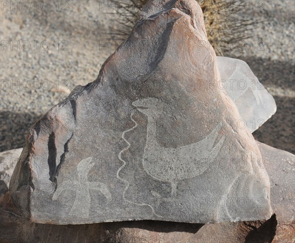 Stone Figures, Miculla Sacred Valley, Tacna, Peru, 2015.