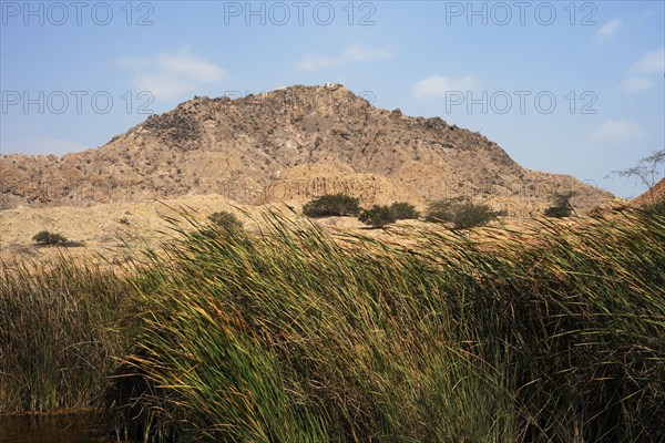 Valle de las Piramides, Tucume, Lambayeque, Peru, 2015.