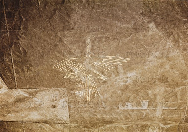 The Condor, Nazca Lines, Ica, Peru,  2015.