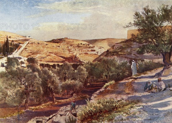 The Upper Valley of the Kidron Looking South', 1902.