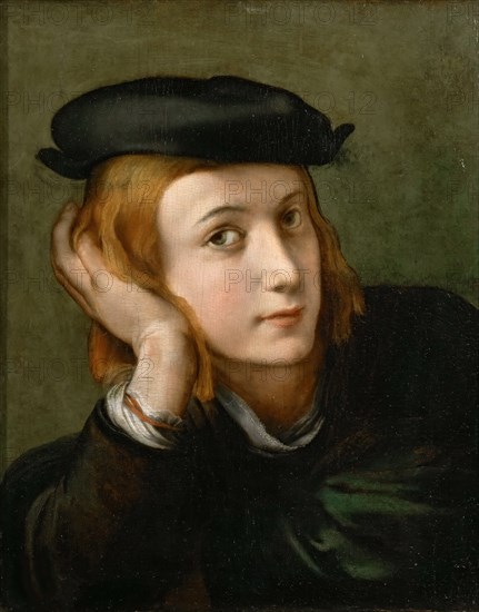 Portrait of a Boy, ca 1524.