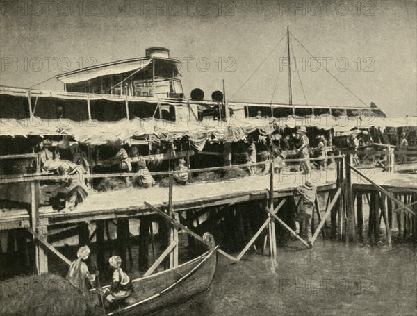 'Indian Horse Transport for the Tigris Force', First World War, 1916, (c1920). Creator: Unknown.