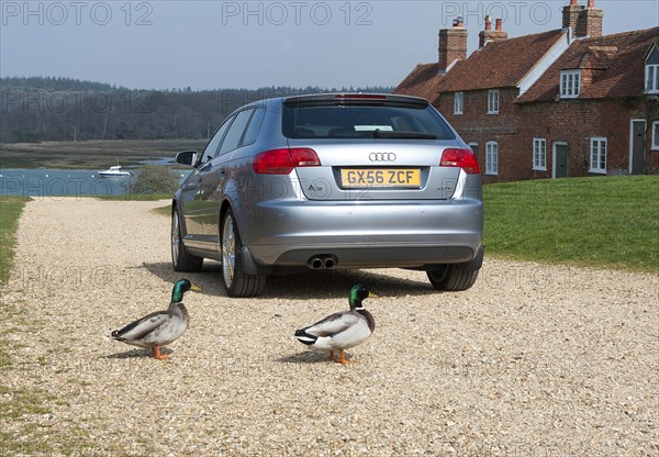 2006 Audi A3 Sportback S-Line. Creator: Unknown.