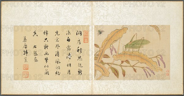 Album of Miscellaneous Subjects, Leaf 7, 1600s. Creator: Fan Qi (Chinese, 1616-aft 1694).