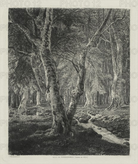 Bois de Pierrefonds, 1874. Creator: Adolphe Théodore Jules Martial Potémont (French, 1828-1883).