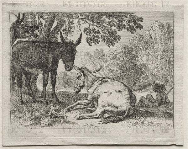 Donkeys. Creator: Herman van Swanevelt (Dutch, c. 1600-1655).