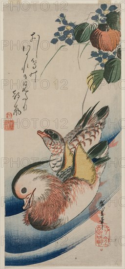 Mandarin Ducks and Flowering Plants, early or mid-1830s. Creator: Ando Hiroshige (Japanese, 1797-1858).