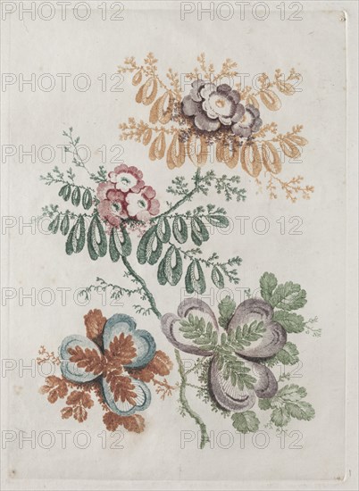 New Suite of Portfolios of Flowers Ideal to Use for Designing and Painting: Floral Fantasies, c. 179 Creator: Anne Allen (British).