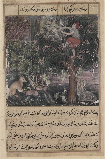 Page from Tales of a Parrot (Tuti-nama): Fifth night: The hunter throws away the baby..., c. 1560. Creator: Basavana (Indian, active c. 1560-1600), attributed to.