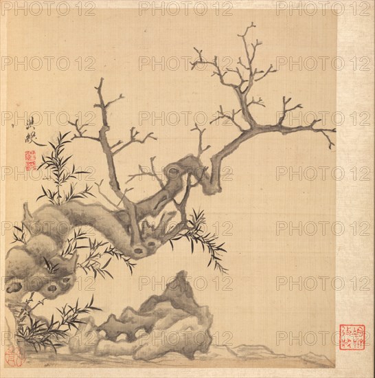 Paintings after Ancient Masters: Rock, Old Tree, and Bamboo, 1598-1652. Creator: Chen Hongshou (Chinese, 1598/99-1652).