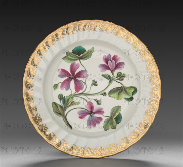 Plate from Dessert Service: Althaea Marsh Mallow, c. 1800. Creator: Derby (Crown Derby Period) (British).