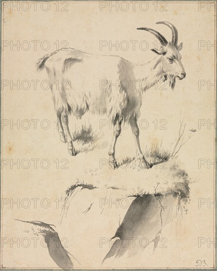 Study of a Goat, 1700s. Creator: Jean Jacques de Boissieu (French, 1736-1810).