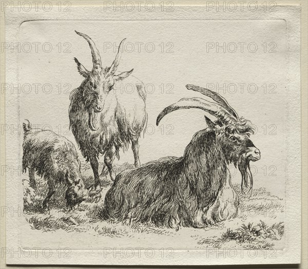 Three Goats. Creator: Nicolaes Berchem (Dutch, 1620-1683).