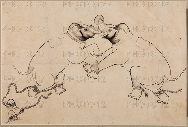 Two Elephants in Combat, early 1700s. Creator: Unknown.