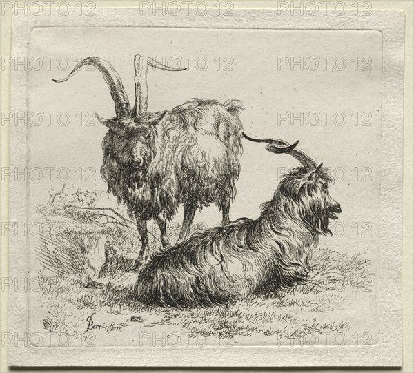 Two Goats. Creator: Nicolaes Berchem (Dutch, 1620-1683).