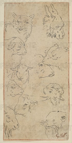 Study of animal heads.n.d. Creator: Claude Gillot.