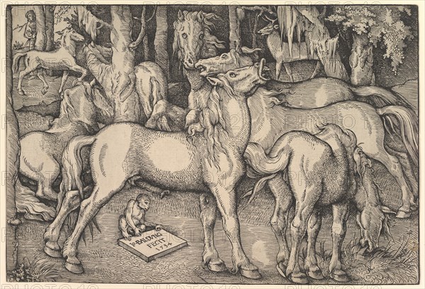 Group of Seven Horses, 1534. Creator: Hans Baldung.