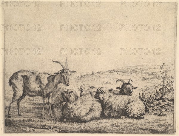 Two Goats and Three Sheep, 1655. Creator: Karel Du Jardin.
