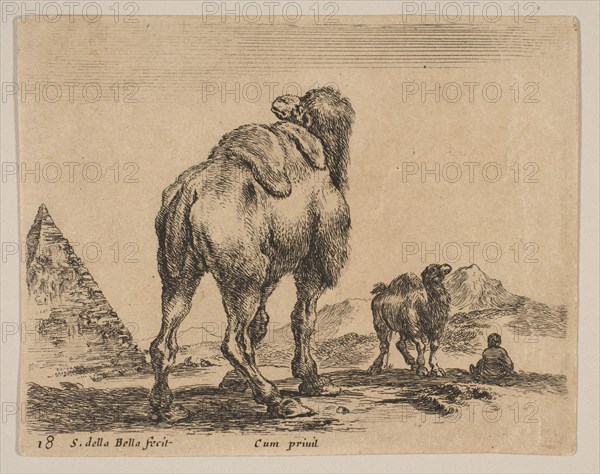 Plate 18: camel viewed from behind with pyramid at left, from 'Various animals'