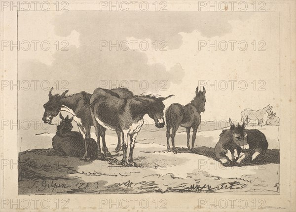 A Group of Five Donkeys, Three Standing, Two Lying, 1783-87. Creator: Thomas Rowlandson.