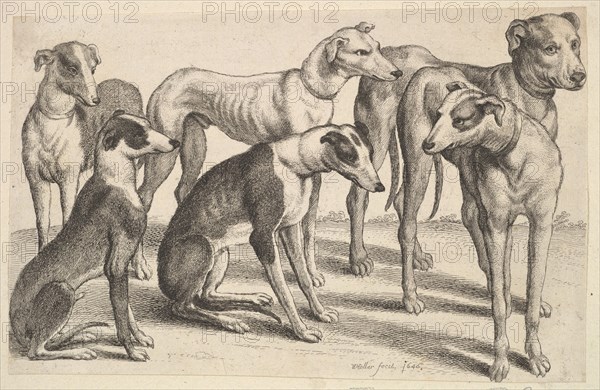 Six Hounds, 1646. Creator: Wenceslaus Hollar.