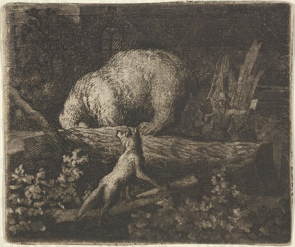 The Bear with His Snout and Forepaws Caught in the Trunk of a Tree. From Hendrick van Alcmar's Renard The Fox