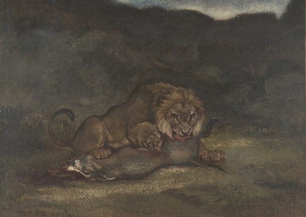 Lion Devouring Prey, 1810-75.