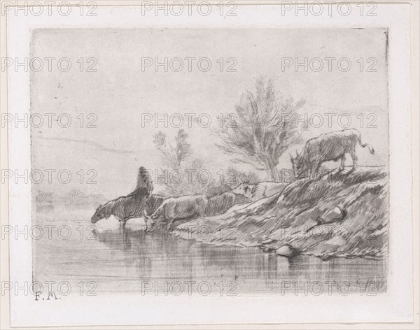 Landscape with cattle