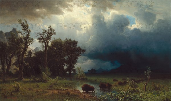 Buffalo Trail: The Impending Storm, 1869.