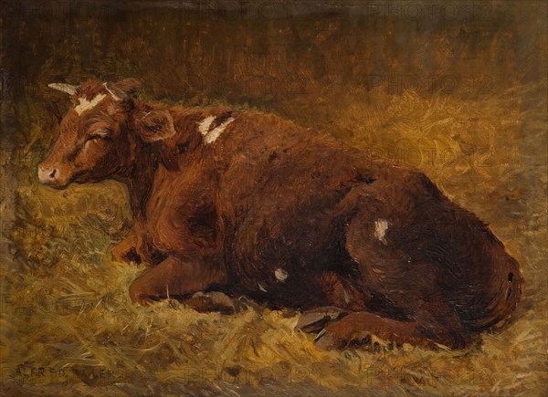 A Cow Lying On The Ground, 1865-1872.