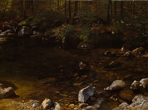 Shady Pool, White Mountains, New Hampshire, c. 1869.