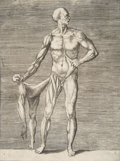 Man seen from the Front, holding the Skin of his right Arm and Leg in his right Ha..., 16th century. Creator: Giulio Bonasone.