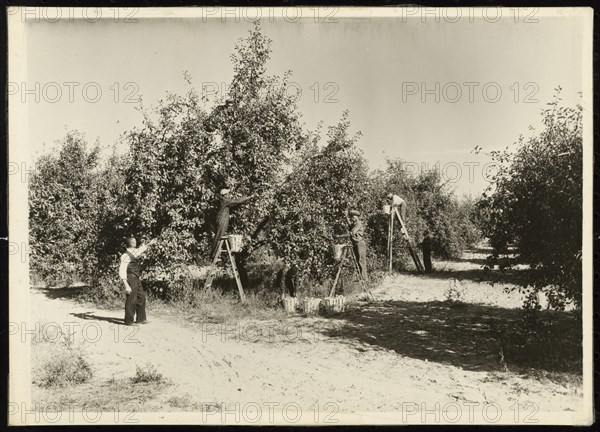 Untitled, ca. 1935. Creator: Lewis Wickes Hine.