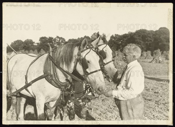 Untitled, ca. 1935. Creator: Lewis Wickes Hine.