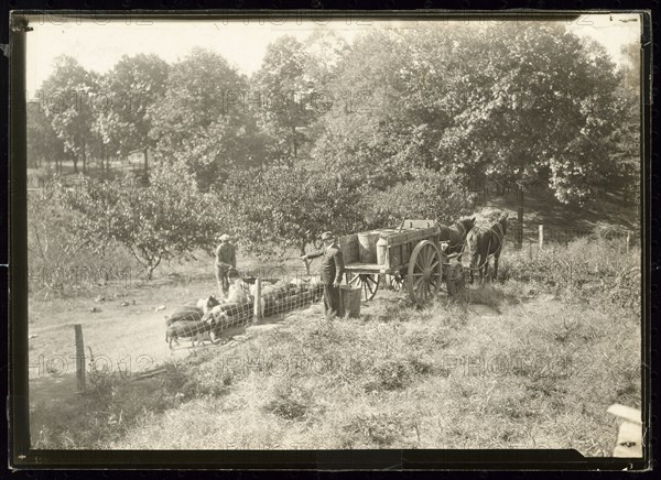 Untitled, ca. 1935. Creator: Lewis Wickes Hine.