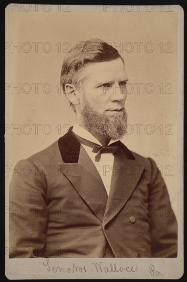Portrait of William Andrew Wallace (1827-1896), Between 1876 and 1880. Creator: Samuel Montague Fassett.