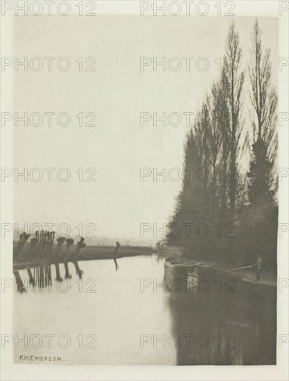 Poplars and Pollards on the Lea, Near Broxbourne, 1880s. Creator: Peter Henry Emerson.