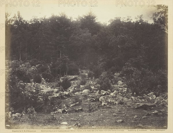 Slaughter Pen, Foot of Round Top, Gettysburg, July 1863. Creator: Alexander Gardner.