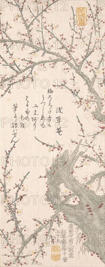 Plum Tree in Blossom, 1813. Creator: Kitao Shigemasa.